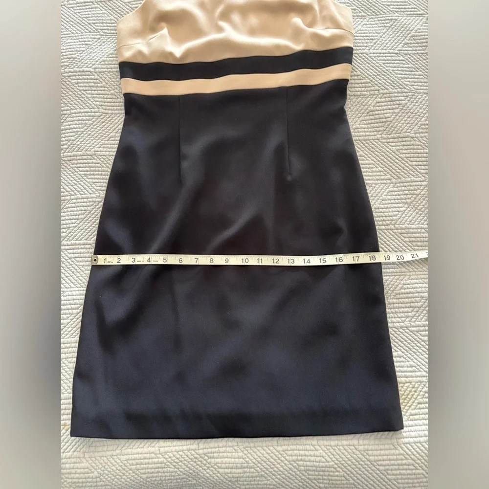 Ann Taylor Tan and Black Triacetate Sheath Dress - Picture 6 of 7